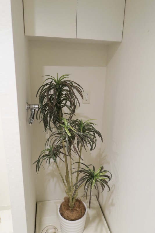 レニール本駒込5階 部屋その他