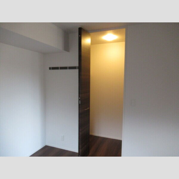 Buena Venir(ブエナ　ヴェニール)201号室 ウォークインクローゼット