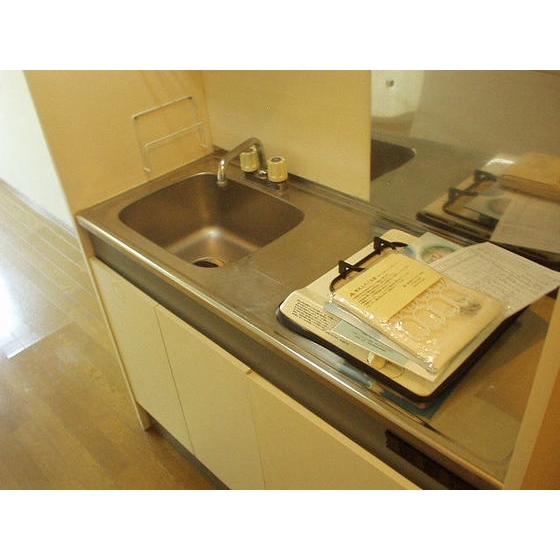 カーサグリスメイユー0203号室 キッチン