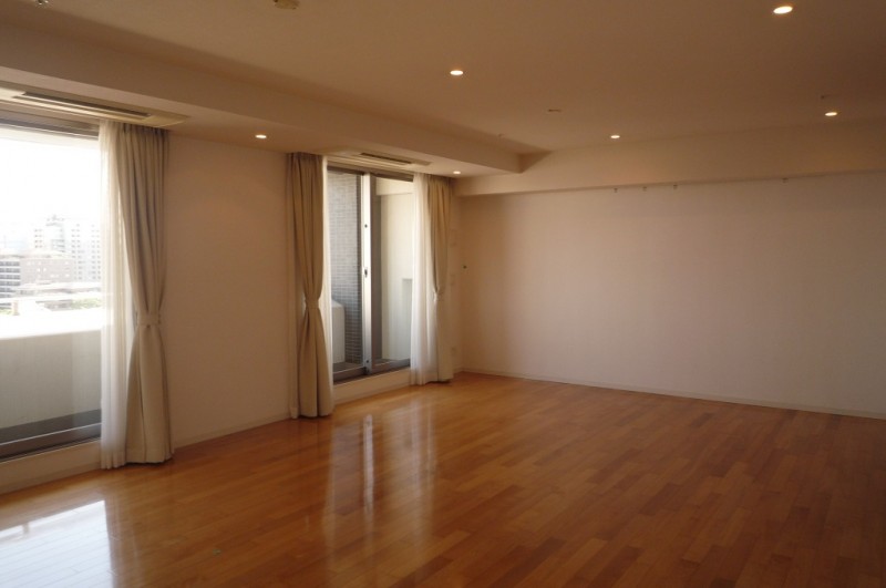 レジディア西麻布9階 リビング