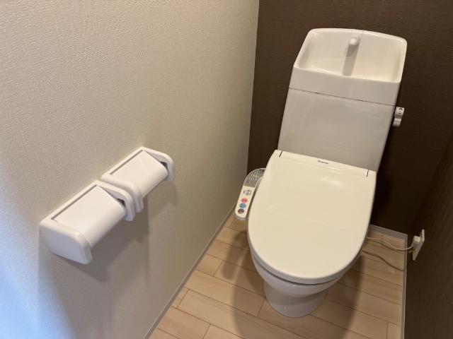 アプリコットＥ202号室 シャワー付トイレ（イメージ）