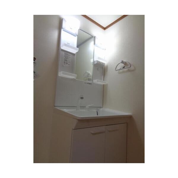 グランデ　マルバローザ　弐番館 洗面