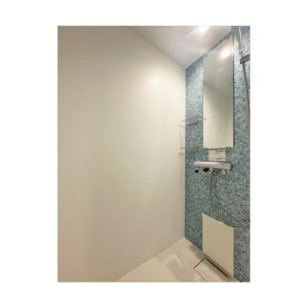 スミノ藤沢502号室 お風呂