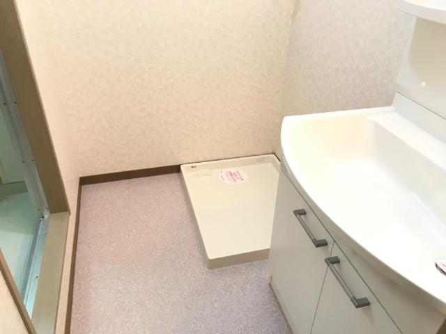 サザンフィールド305号室 洗面