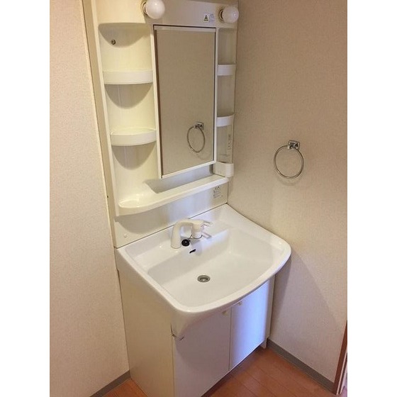 ＬＯＴＵＳ　ＧＡＲＤＥＮ　ＨＯＳＡＫＡ0301号室 独立洗面台