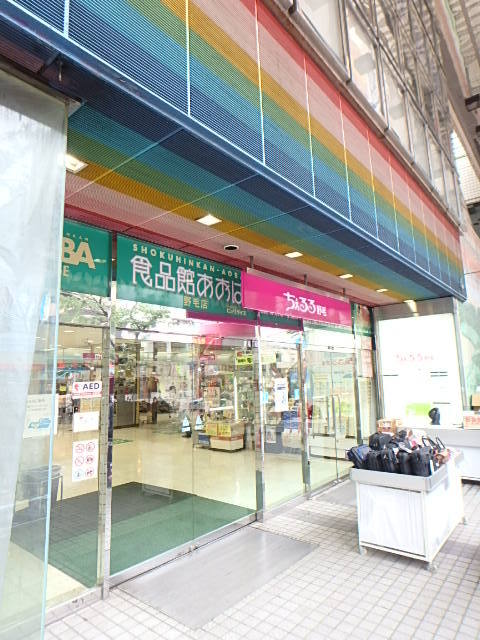 ガーラ・グランディ横濱桜木町4階 【デパート】ちぇるる野毛まで20ｍ