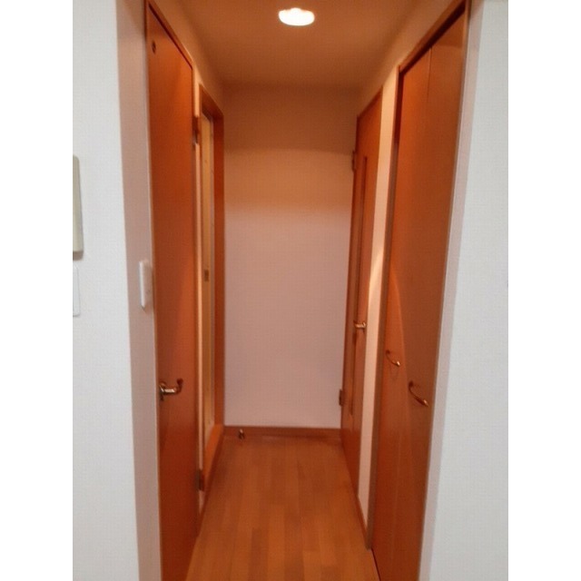 ルピナス　ヤマジ 廊下