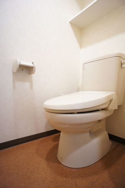 エクセルグランデ高洲0304号室 トイレ