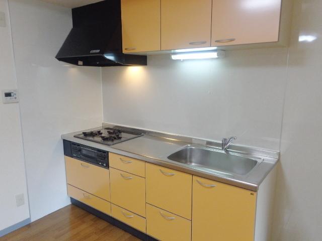 リバーサイドソシア306号室 キッチン