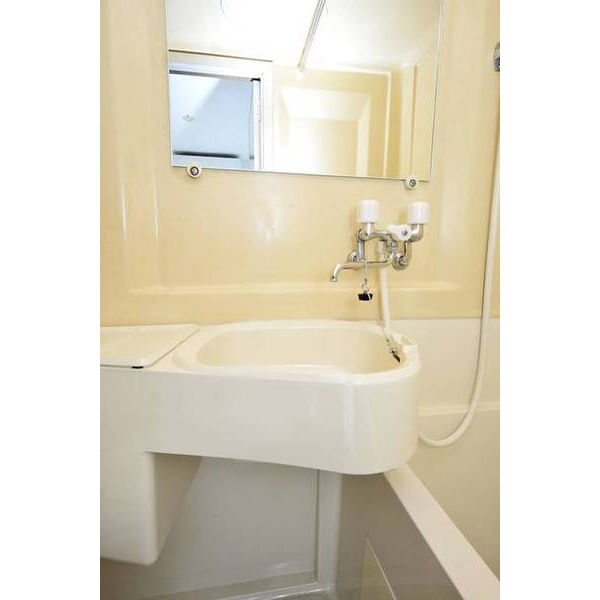 メゾン・ド・新中野0211号室 洗面