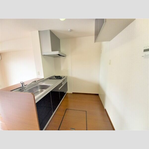 ヒルズガーデン102号室 システムキッチン