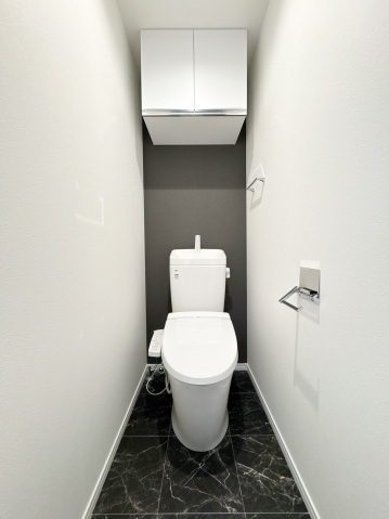 スカイルーチェ南浦和103号室 トイレ