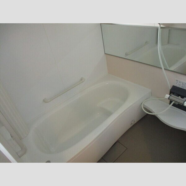 ラ・ソラーナ202号室 202(浴室)