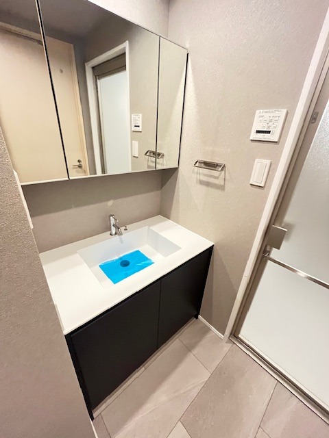 ピアネッタ汐留12階 洗面