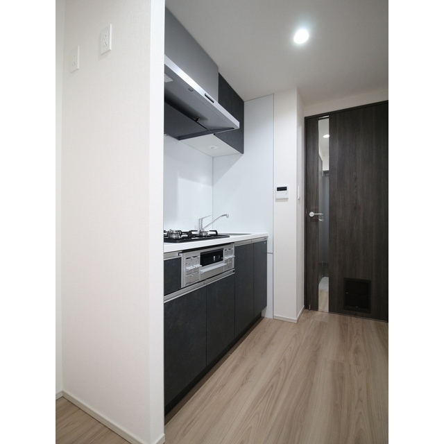 プレール・ドゥーク亀戸Ⅵ1101号室 内観