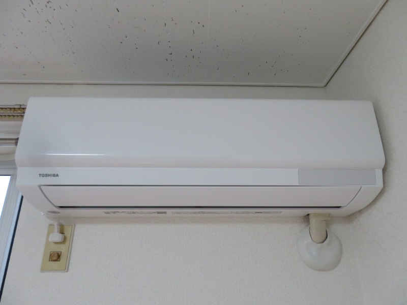 アムール柏 ※別号室の写真となります。