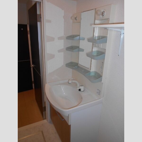 ドエル59202号室 洗面室