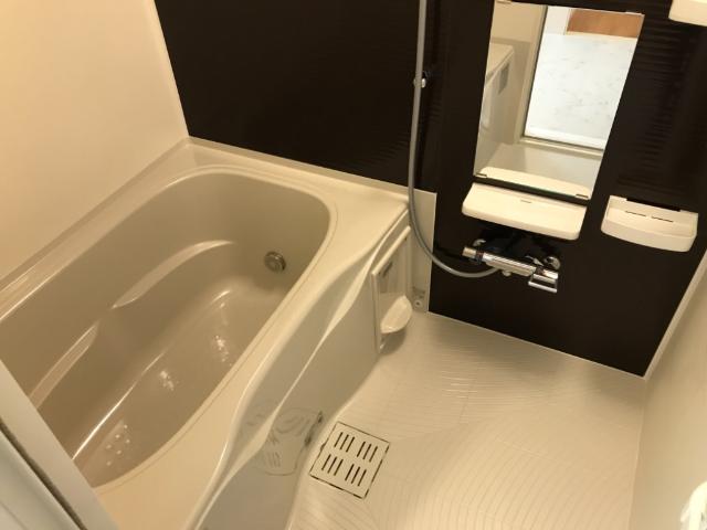 ファイン　コーラル バス