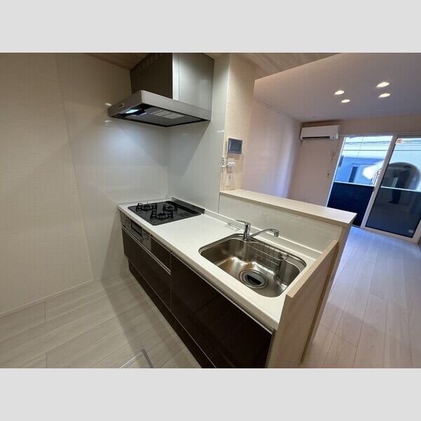 グリーンハウス103号室 システムキッチン