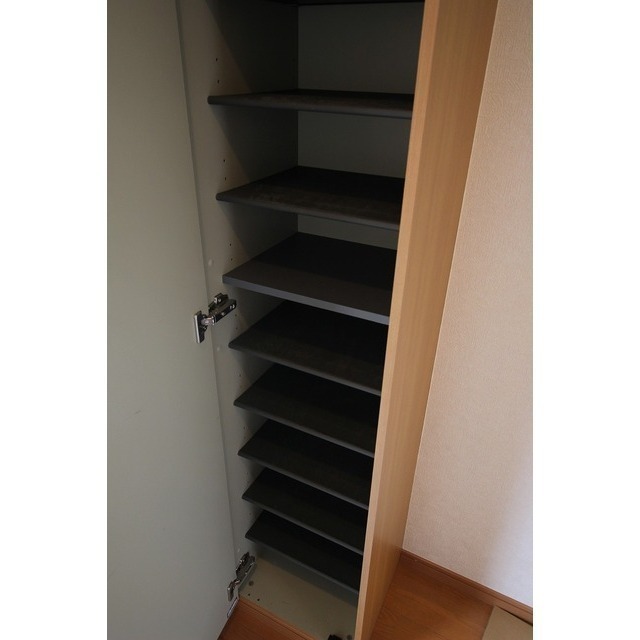 アムール Sen203号室 玄関