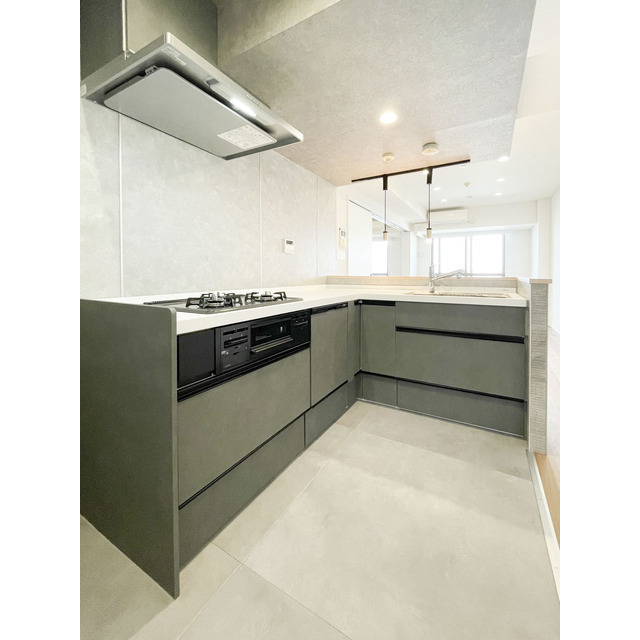 オーパスホームズ白山1002号室 キッチン