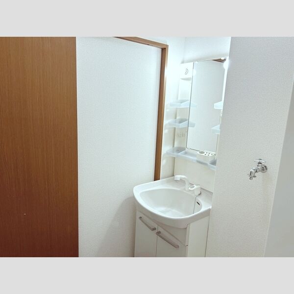 タムナスコート 洗髪洗面化粧台