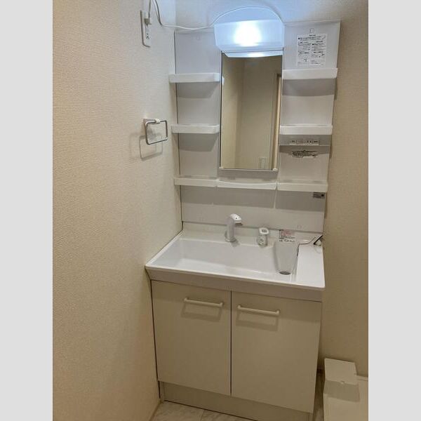 リーブルファイン柏高田 洗面