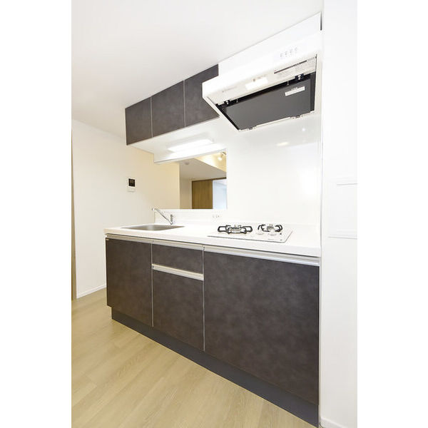 CREAL文京千石Ⅱ0402号室 キッチン