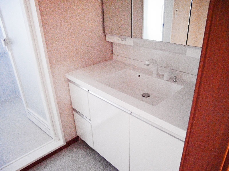 グリーンヒルズ上野毛3階 洗面