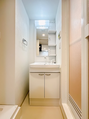 スカイコートリュクス品川大崎103号室 洗面