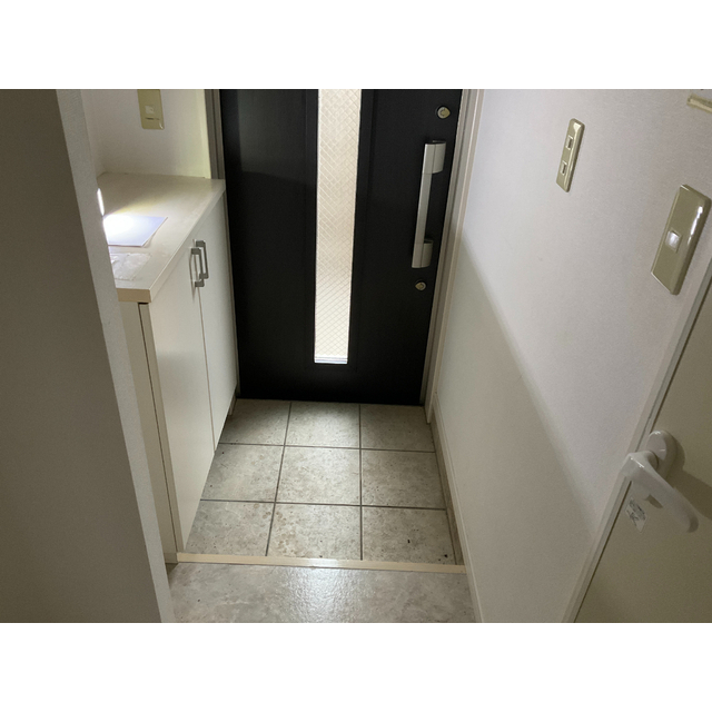 グレースアイルYD101号室 玄関