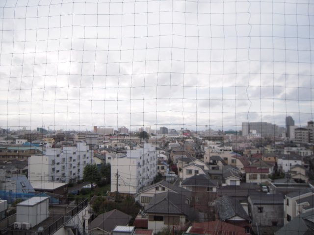 ＬＹＮＸ南台Ⅰ0701号室 展望