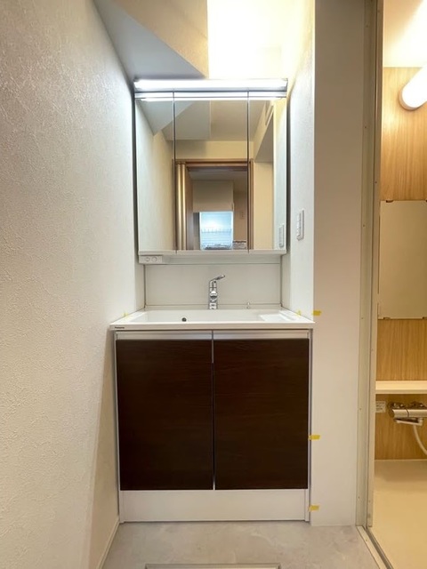 ライブリー東向島0103号室 洗面