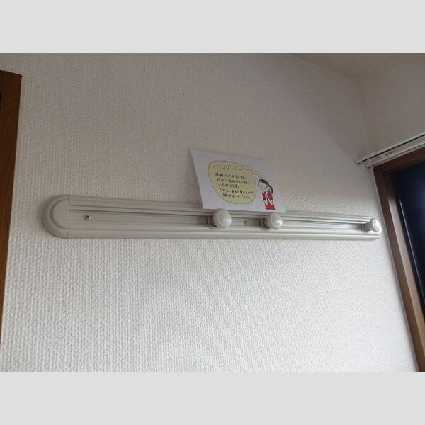 リビングタウン松ヶ島　B305号室 ハングバー