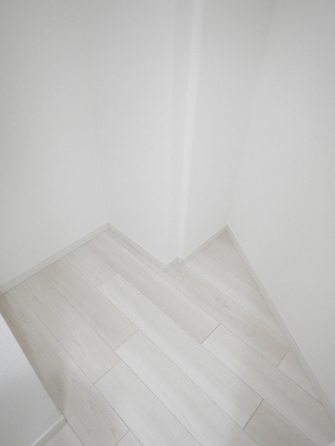 キャピタルビュー柴又5階 外観は落ち着いています