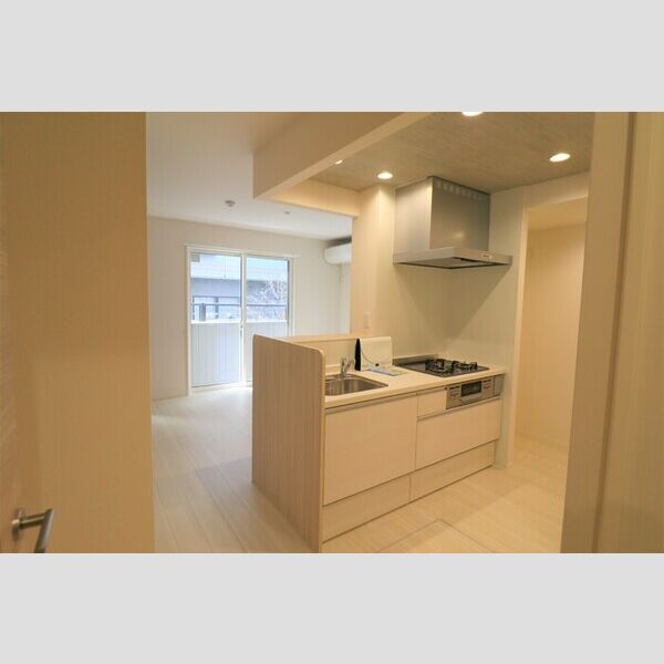 D Paina 溝口103号室 対面キッチン