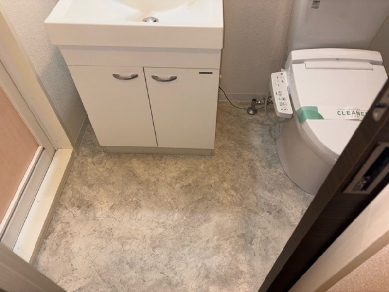 レグラス横浜吉野町 洗面