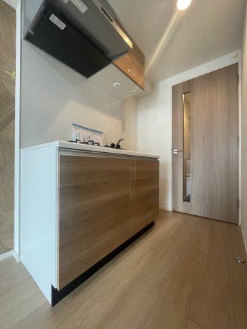 ハーモニーレジデンスグローバルキャピタル1201号室 収納