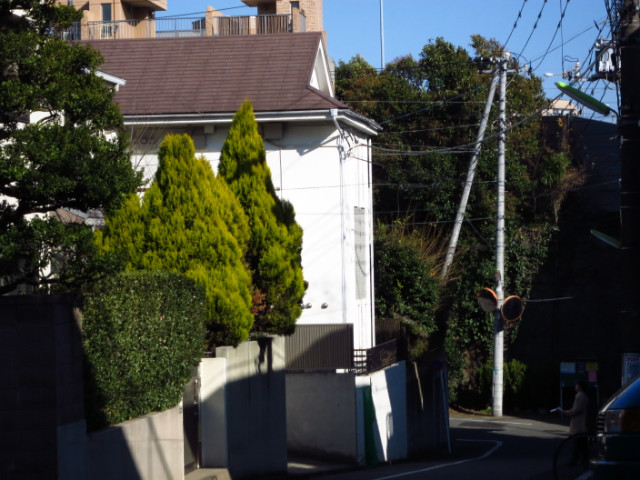 コーポマリーナ上野毛205号室 外観