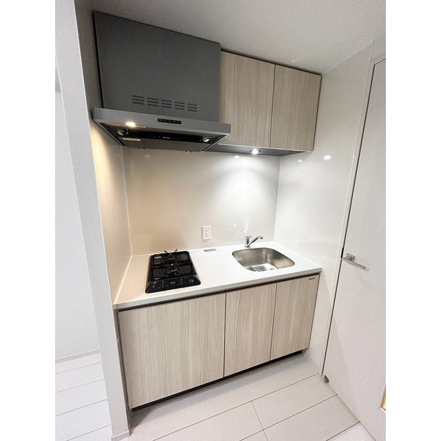 ブランシエスタ品川大井町パークエッジ0106号室 キッチン