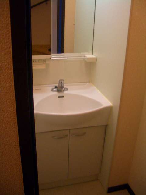 レオネクストサニーハウス前原102号室 独立洗面台