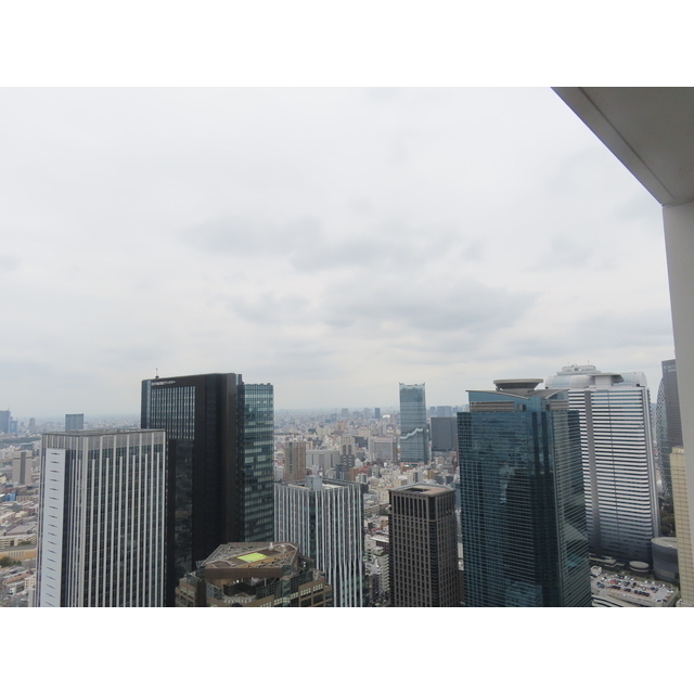 ザ・パークハウス西新宿タワー６０54階 部屋その他