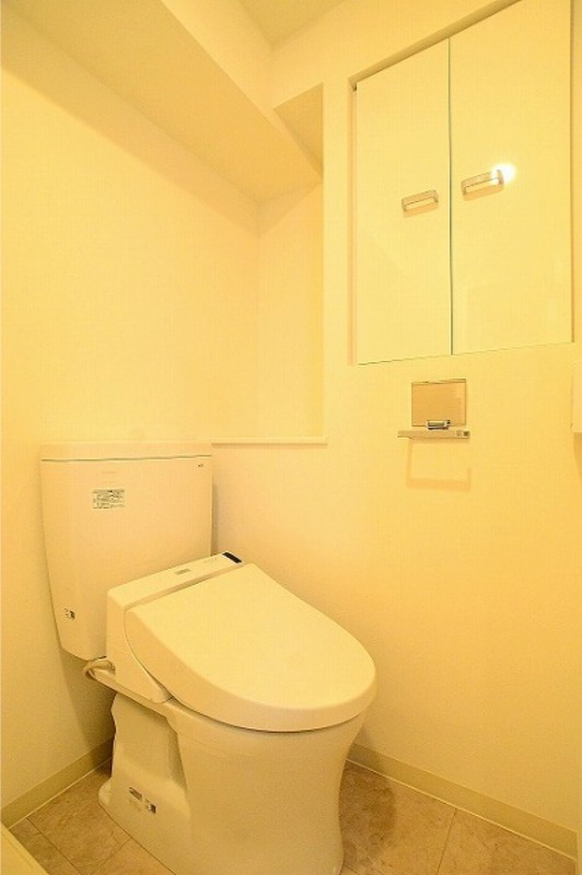 ステージグランデ菊川4階 トイレ