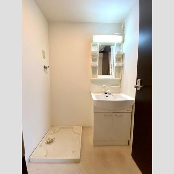 ベース・ブリッジ401号室 洗髪洗面化粧台