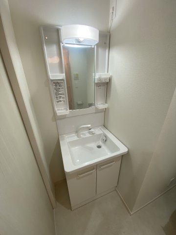 メゾン・ド・スピカ203号室 洗面