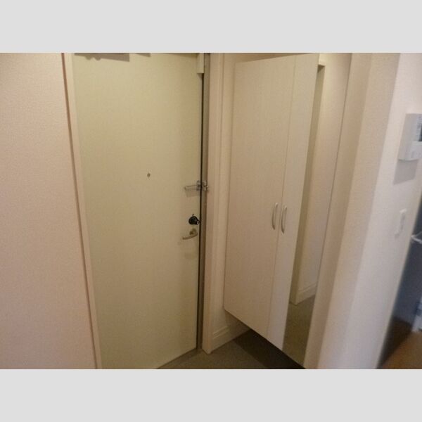 フルール　ポワール106号室 玄関(トールタイプシューズボックス)