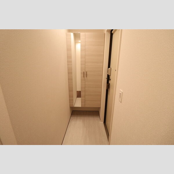 D-ROOM新宿Ⅰ-A205号室 玄関