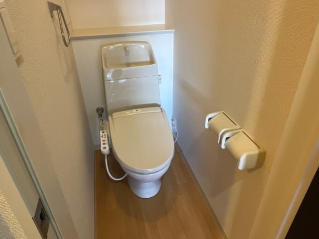 エクセレントヒルズ201号室 トイレ