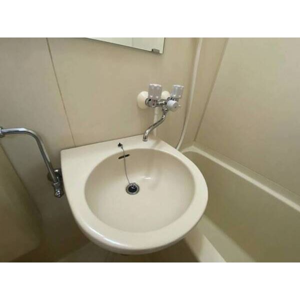 メゾン・ド・セヴェールNO.20404号室 洗面