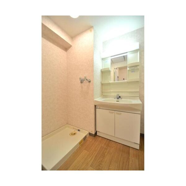 コーポレート武蔵境301号室 洗面